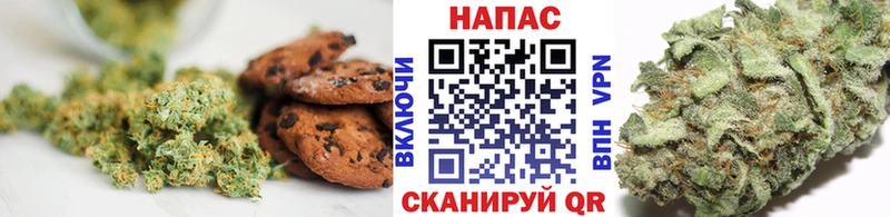 Cannafood конопля  Камышин 