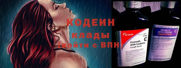 эйфоретик Алзамай